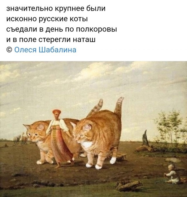 Так себе картинки 27.09.24