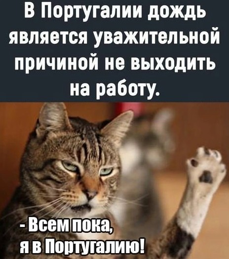 Давайте опубликуем