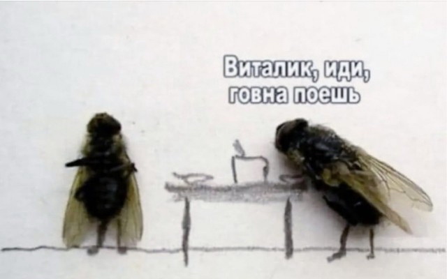 Завалялось тут случайно немного забавных картинок