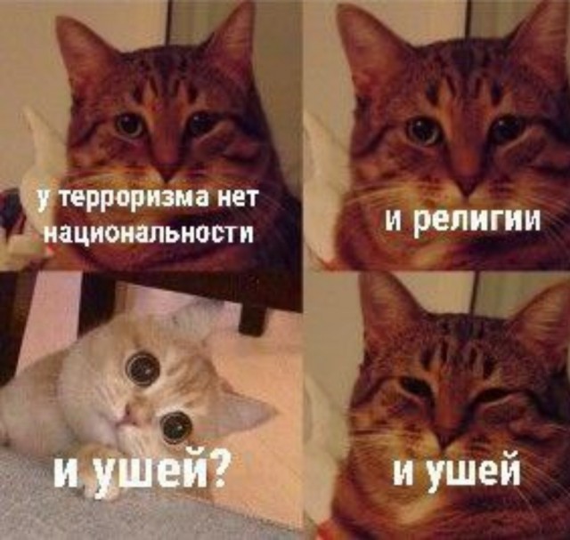 В Амстердаме мусульмане устроили охоту на евреев