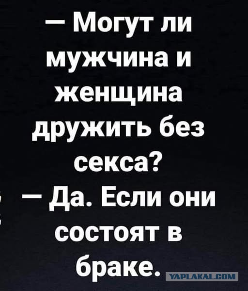 Так себе картинки 21.12.24