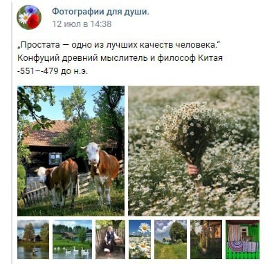 Среды картинки