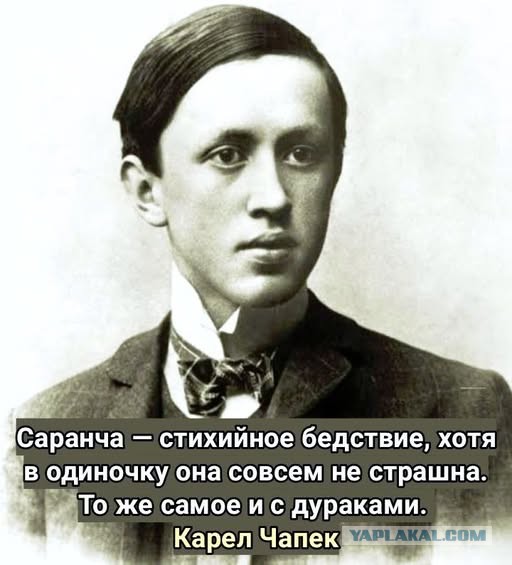 Веселые картинки в понедельник (08.01)