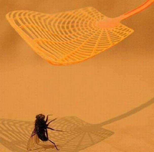 Подборка фотографий из серии " За секунду до.."