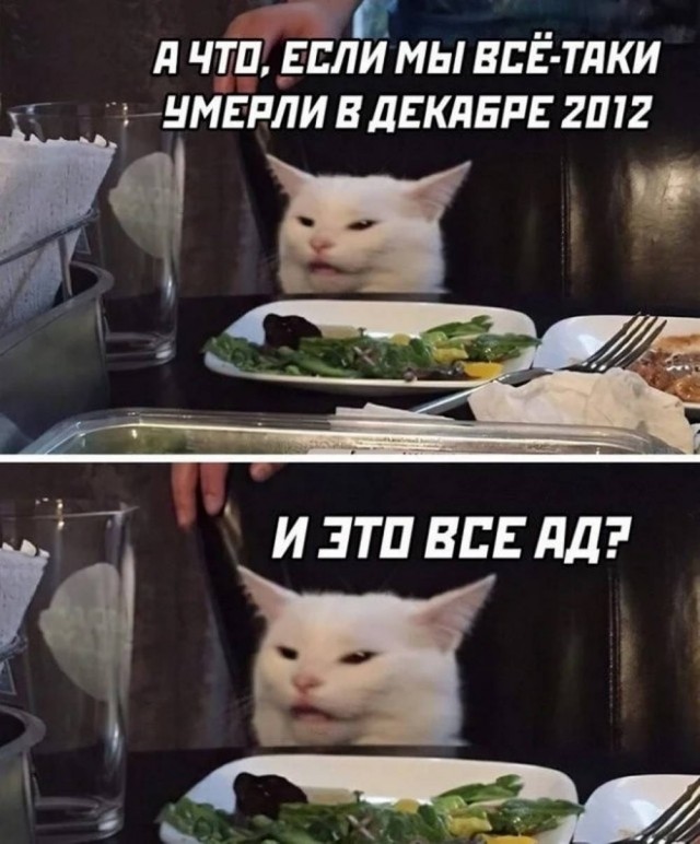 К котовторнику: подборка картинок-баянов с котиками и про котиков. Выпуск 28.