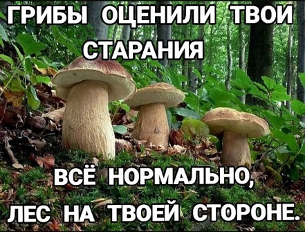 Жизнь на острове