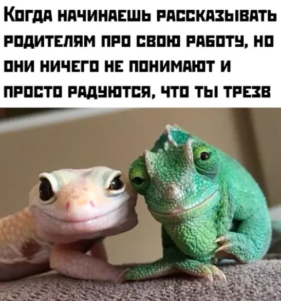 Картиночки, баянчики 04 апреля