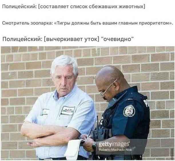 Картинки для деградации 240 (разной степени свежести)