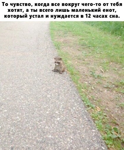 Картинки для деградации 242 (разной степени свежести)