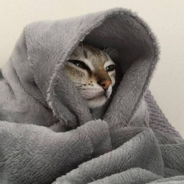 ДНК-тест