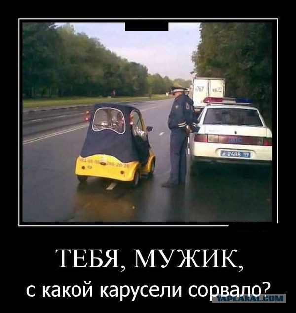 Картинки