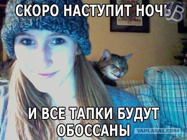Новые "комментарии из соцсетей"