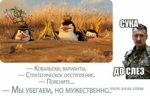 ультрас прыгали, скакали алигархам *опу целовали