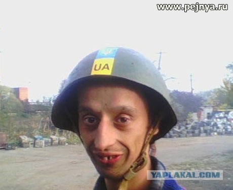 На злобу дня