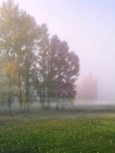 Знакомая выложила фотку...