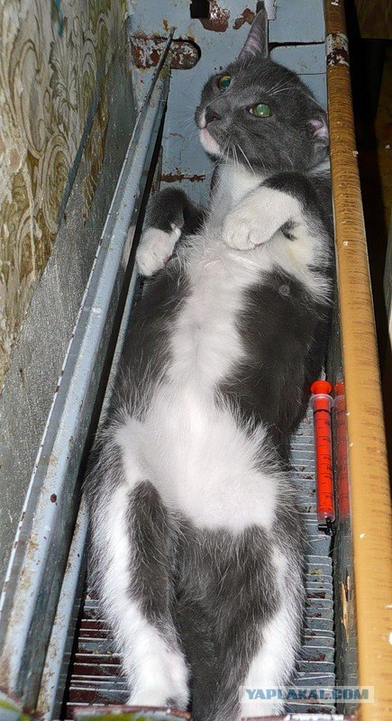 А все равно зима теплая