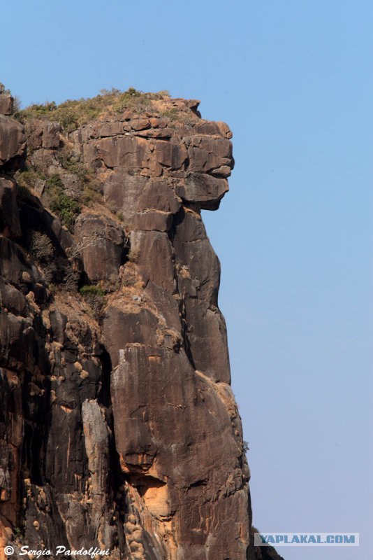 В Египте открыли некрополь Серапеум
