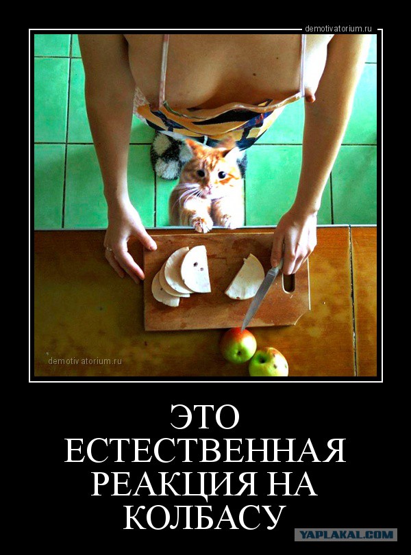 Моющее средство!