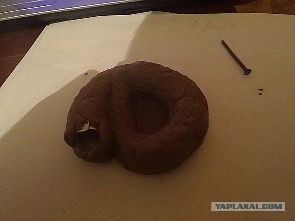 Желтобрюхий дракон