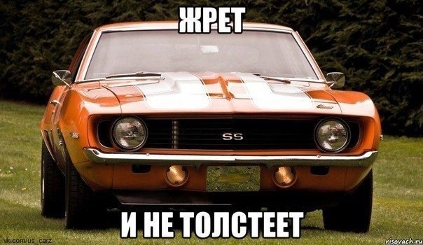 Подборка прикольных фото на пятницу