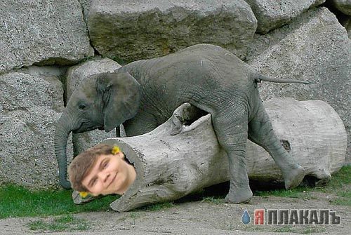 Фотожаба: Два голубка