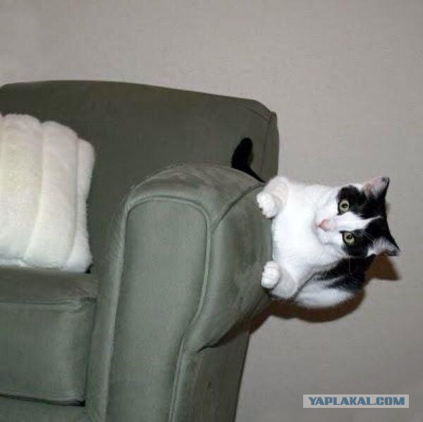 Разные картинки из сети