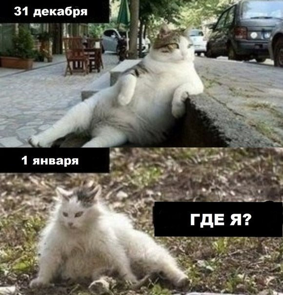 Утро 1го января "хорошей" девочки