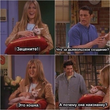 Забавные картинки из Сети