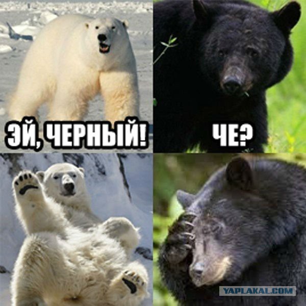 Абсурдный юмор ч.10
