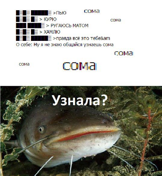 Сама посуди картинка