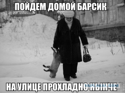 Картинки из сети