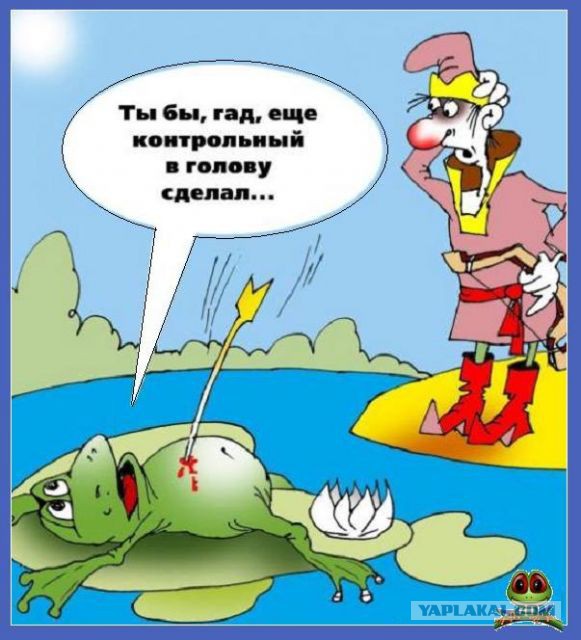 Ищу жену. Есть желающие?