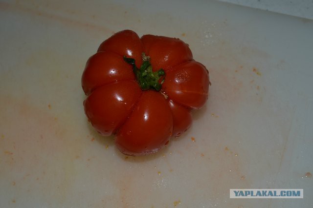 Гуакамоле(мой рецепт) с говяжими медальонами!