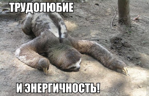 Подборка интересных и веселых фото