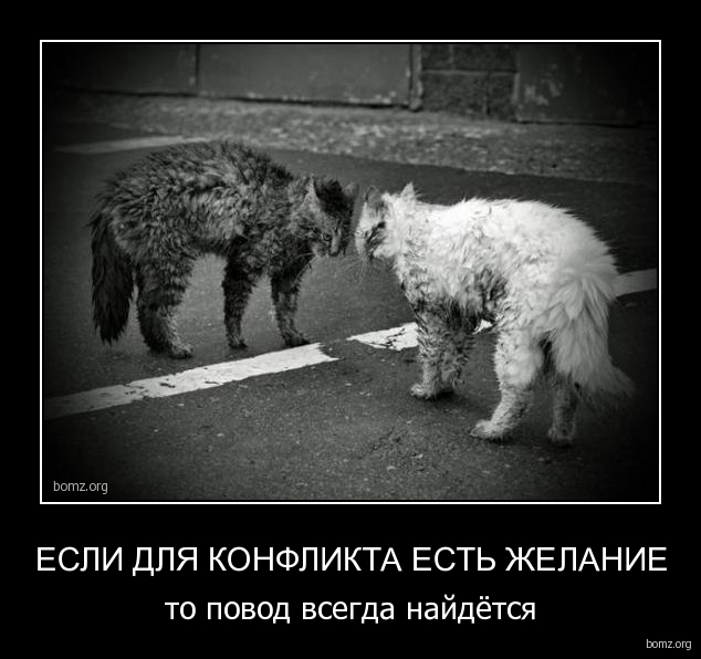 Картинки для поднятия настроения - 4