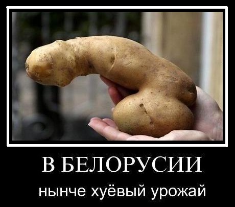 Картофельный чопик или лечение секретарши от геммороя