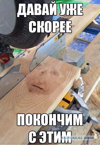 Весёлые картинки