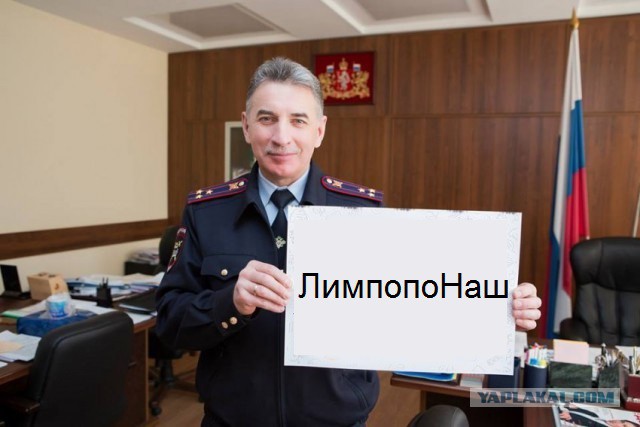 Полицию возмутили фотожабы на главного гаишника Юрия Дёмина
