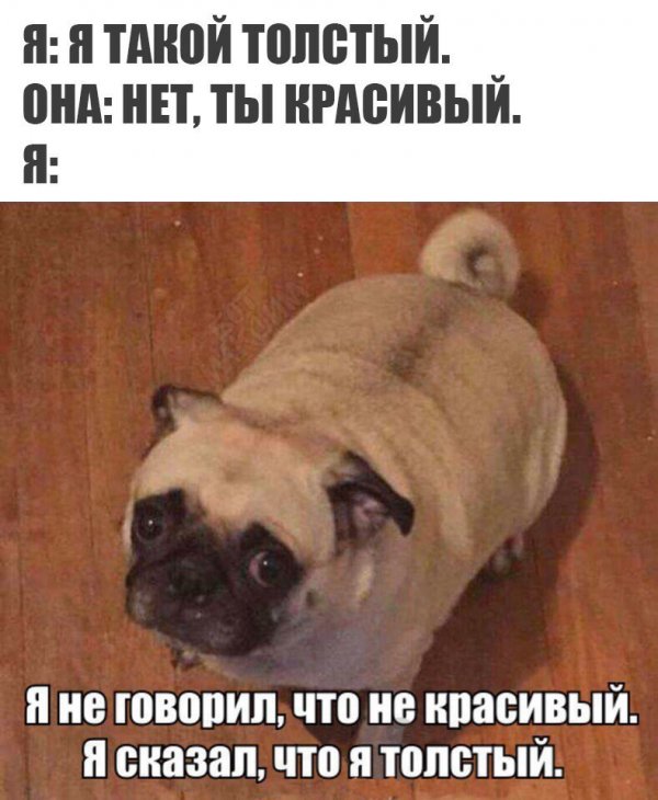 Приколы в стиле "регресс"