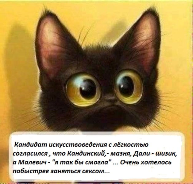Смешних картинок с просторов