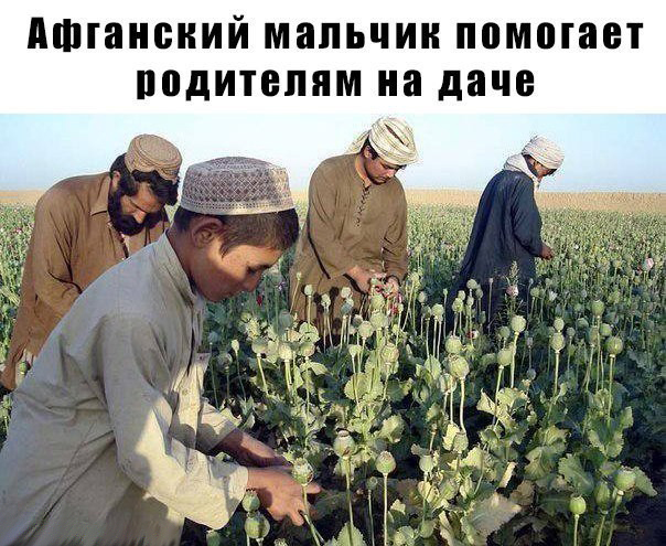 Жизнь, наполненная чудесами и волшебством