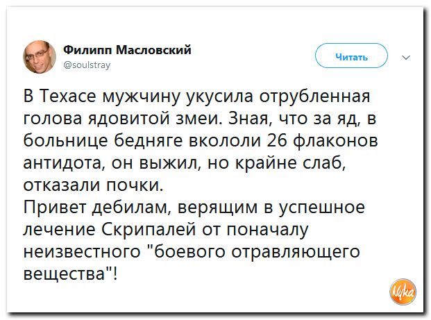 Мужик находится при смерти после того, как его укусила отрубленная голова змеи