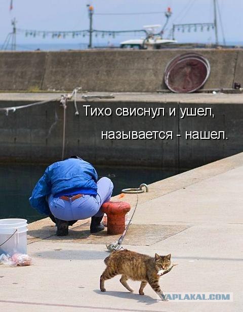 Котовторнику Да (09.12.08)