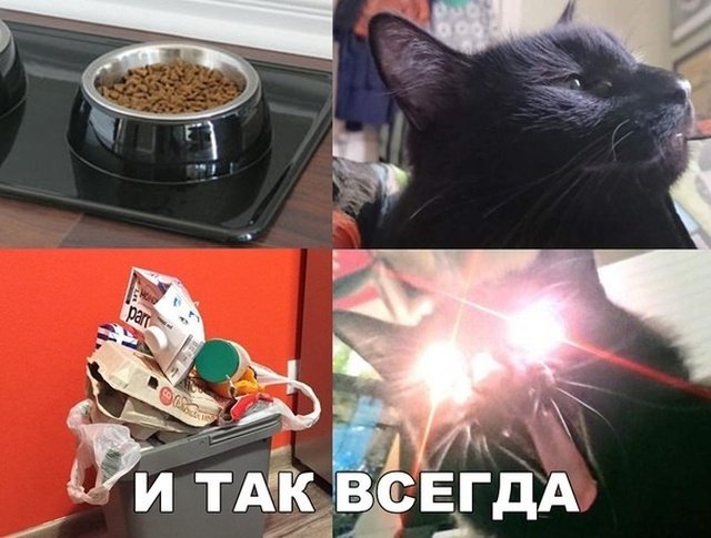 Нестандартный юмор