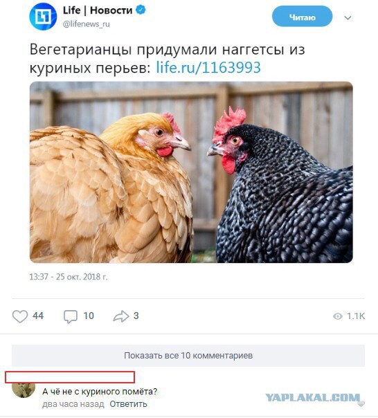 Смешные комментарии из социальных сетей 02.11.2018