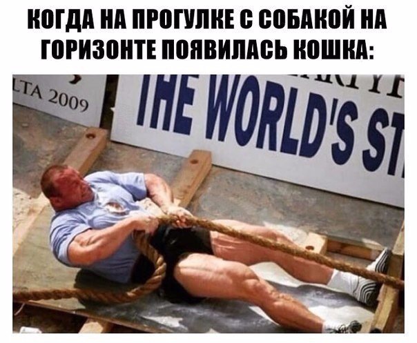 Нестандартный юмор