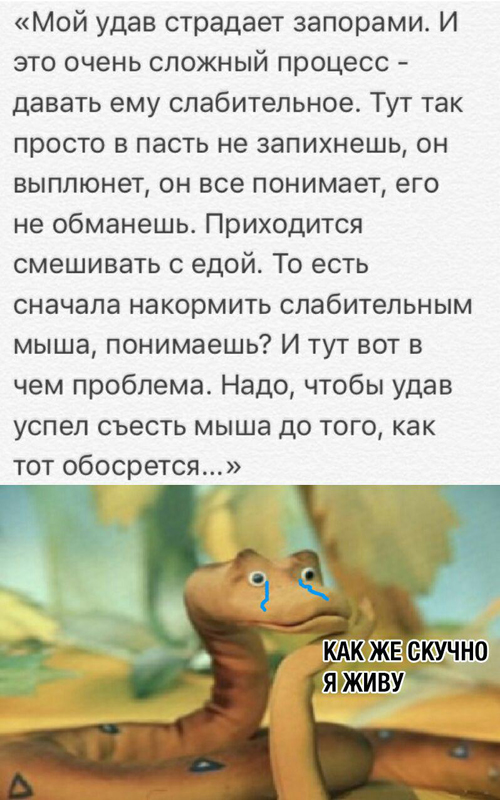 Немного картинок для настроения