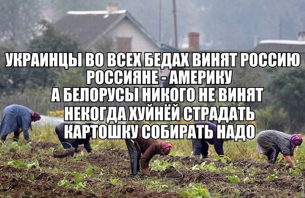 Чуток картинок 09.06.19