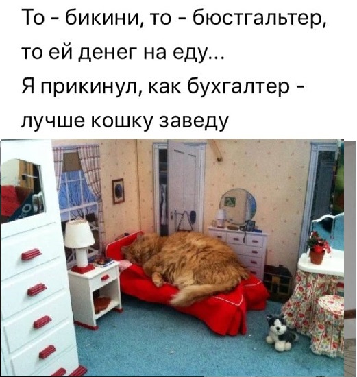 13478412.jpg