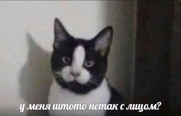 Нестандартный юмор 22.11.19